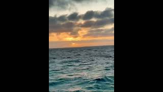 Coogee Beach Western Australia 🌅sunset timelapse [upl. by Bone]