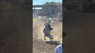 Brady Portenier takes Bubba G for a spin bullriding rodeos cowboy rodeotime [upl. by Kaiser562]