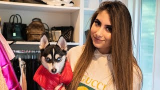 SHOPPING AT GUCCI FOR MY DOG  Nicolette Gray [upl. by Aniv]