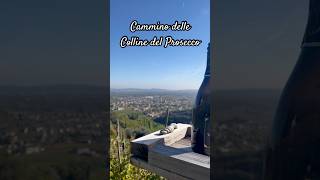 Cammino delle Colline del Prosecco di Conegliano e Valdobbiadene  nei pressi di Col San Martino [upl. by Holleran]