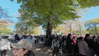 NEW YORK CITY MARATHON 2024 MILE 26 CENTRAL PARK DJI ACTION 4 [upl. by Nosde]