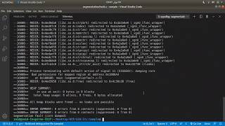 Debugging segmentation faults in C using three methods VSCode  core file and Valgrind [upl. by Asirak]