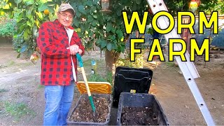 How To Make A Worm Farm At Home  DIY Compost Bin [upl. by Htaek]