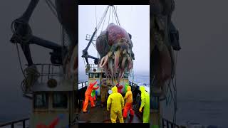 Fishermen’s Battle with Giant Crustaceans and Octopus on the American Coast – A Terrifying Encounter [upl. by Nunnery]