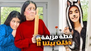 قطة مزيفة شريرة دخلت بيتنا هيلين وهيفي خافوا منها ضربتهم وصارت مجنونة [upl. by Trevor]