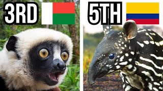 5 Countries With The Most Endangered Species [upl. by Cecilia613]