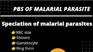 Pbs of malaria parasites speciation of malarial parasites malarial schizont Gametocyte malaria [upl. by Nichani]