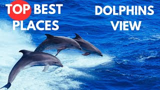 DOLPHIN MAGIC IN ZANZIBAR ISLAND [upl. by Sirehc690]