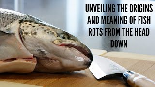 Unveiling the Origins and Meaning of Fish Rots from the Head Down [upl. by Adnavoj]