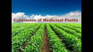 7 Method of Cultivation of medicinal plants cultivationofmedicinalplants [upl. by Parnas65]