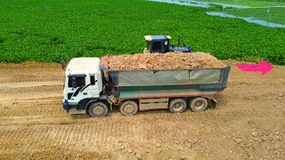 Landfill A Big Lake 25 5Ton Dump Truck With SHANTUI Dozer [upl. by Gayn]