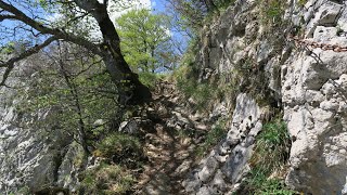 Grenchen  Bettlachstock  Untergrenchenberg  11 Mai 2024 [upl. by Eremahs794]