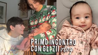 Amici incontrano Haru per la prima volta ❤️  Vlog ft SeoulMafia [upl. by Pubilis]