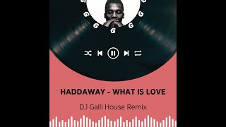 Haddaway  What Is Love DJ Galli House Remix [upl. by Jedidiah]