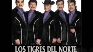 Me Dicen PerseveranteLos Tigres del Norte Album Directo al CorazonAño 2005 [upl. by Zilber]