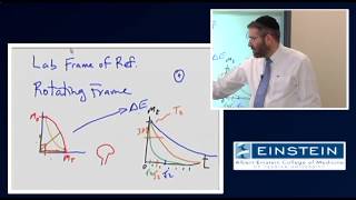 Introducing MRI Transverse Magnetization Relaxation 10 of 56 [upl. by Sivert]