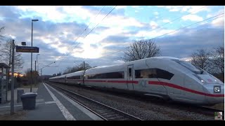 Umleiterverkehr auf der Donautalbahn und der Riesbahn am 170224  AL  219002024 [upl. by Skier]