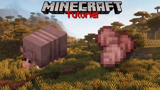 Trouver et Élever un Tatou  Tuto Minecraft [upl. by Susana]