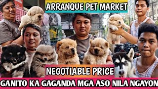 PWEDE MO PANG TAWARAN MGA BAGONG DATING NA ASO SA ARRANQUE PET MARKET [upl. by Badr]