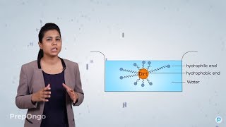 Carbon and its Compounds 16  Soaps and Detergents  CBSE Class 10 [upl. by Yemiaj718]