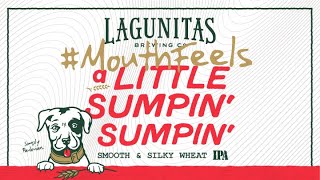 Lagunitas MouthFeels  A Little Sumpin Sumpin [upl. by Eldnar]