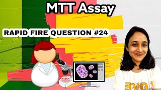 MTT assay  Principle  How does it work  Rapid fire Q24 [upl. by Adle459]