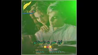 Kho Dumra Rata Owaya Janana Che Za Sta Yam  Pashto Song   Slow  Reverb [upl. by Ohaus]