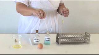 Biuret Test Test for peptide bond [upl. by Riehl]