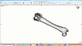 Measuring the Anteversion angle of the femur Dog [upl. by Pomeroy]