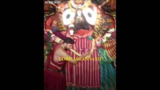 Lord Jagannath 🙌🏻 lordjagannath jagannath jagannathtemple jaijagannath trending viralshorts [upl. by Auberon326]