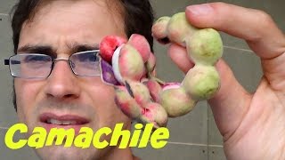 Camachile Pithecellobium dulce Review in Bangkok  Weird Fruit Explorer  Ep 77 [upl. by Obnukotalo987]