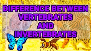 Difference between vertebrates and invertebrates  chordates and non chordates difference [upl. by Ardnak]