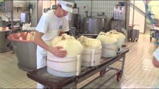 Formaggio Parmigiano Reggiano la lavorazione del Caseificio Agricolo del Milanello Terre di Canossa [upl. by Ashlee]