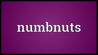 Numbnuts Meaning [upl. by Chari]