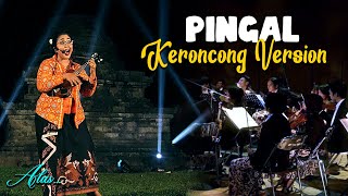 PINGAL  Ngatmombilung II Keroncong Version Cover [upl. by Gurango]