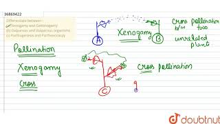 Differentiate between  a Xenogamy and Geitonogamy b Oviparous and Viviparous organisms [upl. by Sair]