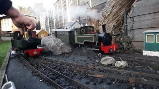 G Scale live steam trains [upl. by Halika]