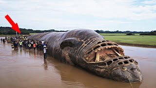 This New Terrifying Discovery in the Amazon Jungle SCARED SCIENTISTS [upl. by Philippe241]