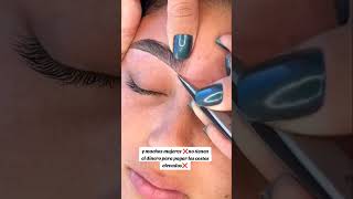 CEJAS PERFECTAS PASO A PASO brows cejas browsonfleek browshaping californiabrows houstonbrows [upl. by Malsi]