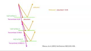 Photosynthetic active radiation [upl. by Olivette]