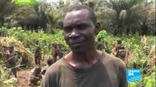 Pygmies endangered people [upl. by Gaiser]