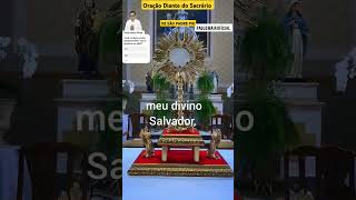 Adoração ao Santíssimo Sacramento liturgiadapalavracompaulomaia [upl. by Shirline64]