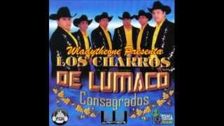 Echame A Mi La Culpa Los Charros De Lumaco Consagrados [upl. by Reitrac514]