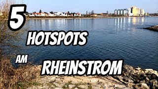 5 Top Angelstellen am Rheinstrom [upl. by Ahsienaj]