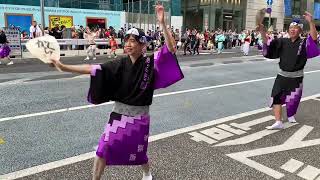 Special performance awa odori nihonbashi festival parade [upl. by Nekial]