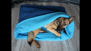 Kuschelsack Schlafsack für den Hund nähen DIY für Anfänger geeignet [upl. by Hsetim251]