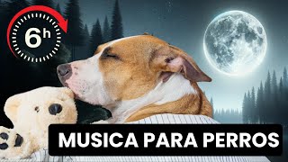 🐶💤 6 horas de MÚSICA RELAJANTE para PERROS Ansiosos  ¡Prueba y Verás [upl. by Barrus176]