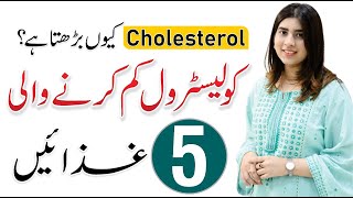 High Cholesterol Diet Plan  Causes Symptoms amp Treatment  By Hamala Khan [upl. by Burton688]