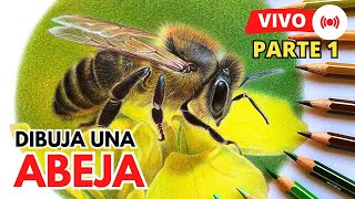 Como DIBUJAR una ABEJA Realista LÁPICES DE COLORES  Part 1 How to DRAW a realistic BEE 🐝 [upl. by Loris]