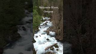 Mckenzie River Oregon oregon pnw river scenery naturelovers usa [upl. by Ardried]